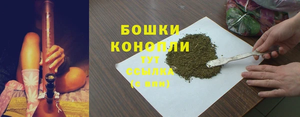 ECSTASY Белокуриха