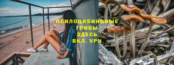 mdpv Беломорск