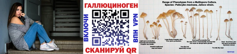 площадка Telegram хочу наркоту Жердевка Псилоцибиновые грибы мицелий